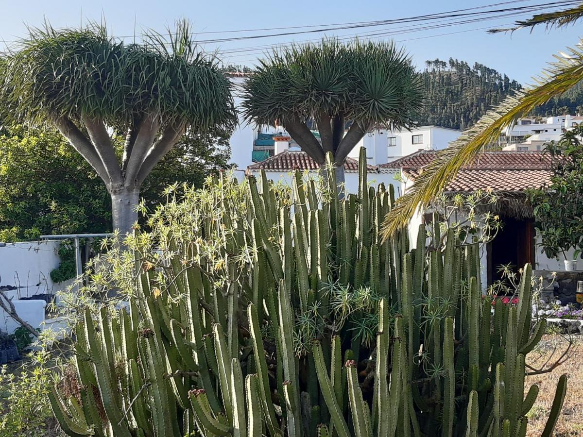 Casa Rural Los Dragos 拉帕尔马岛丰卡连特 外观 照片
